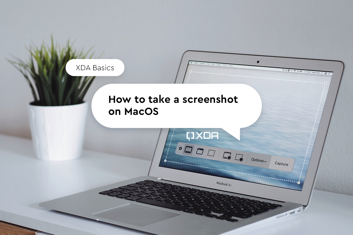 view command for snapshot on mac